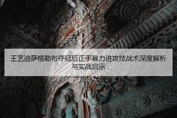 wang-yi-di-sa-ge-lei-bu-duo-guan-hou-zheng-shou-bao-li-jin-gong-ji-zhan-shu-shen-du-jie-xi-yu-shi-zhan-qi-shi-2-371.jpg